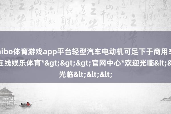 shibo体育游戏app平台轻型汽车电动机可足下于商用车-*世博在线娱乐体育*>>>官网中心*欢迎光临<<<