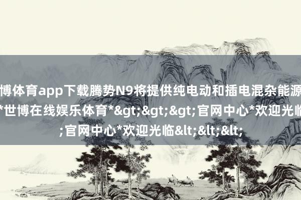 世博体育app下载腾势N9将提供纯电动和插电混杂能源两种能源选项-*世博在线娱乐体育*>>>官网中心*欢迎光临<<<