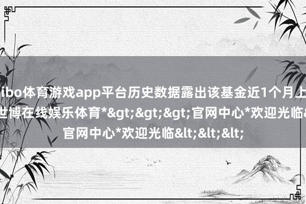 shibo体育游戏app平台历史数据露出该基金近1个月上升16.54%-*世博在线娱乐体育*>>>官网中心*欢迎光临<<<