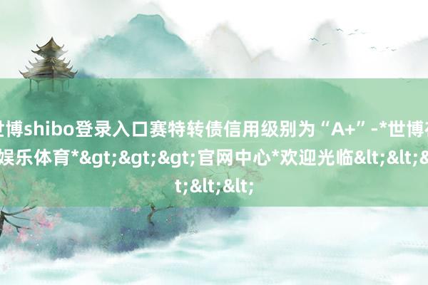 世博shibo登录入口赛特转债信用级别为“A+”-*世博在线娱乐体育*>>>官网中心*欢迎光临<<<